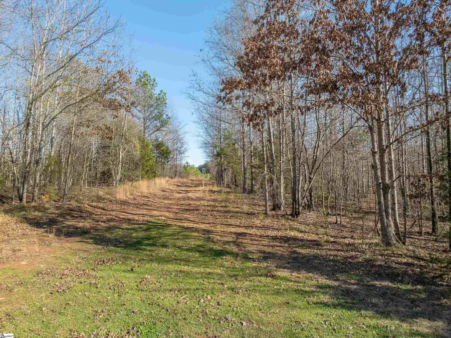 010 Mill Pine Road, Liberty, SC 29657 - Image #3