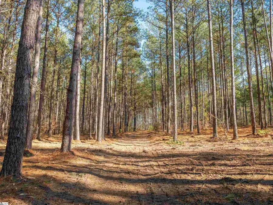 02 Mill Pine Road, Liberty, SC 29657 - Image #2