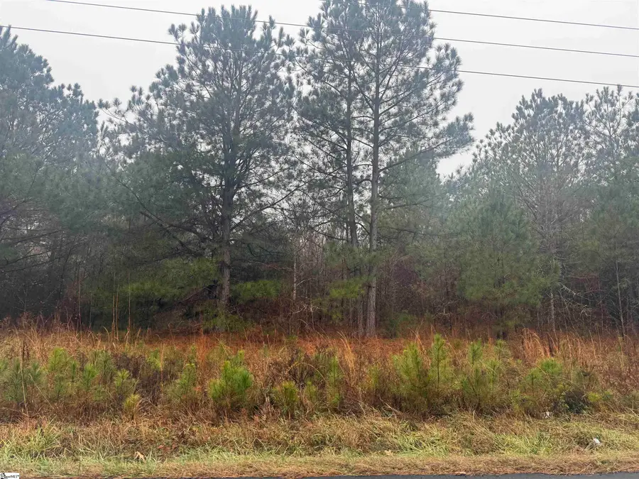 000 Riverfork Road, Waterloo, SC 29384 - Image #2