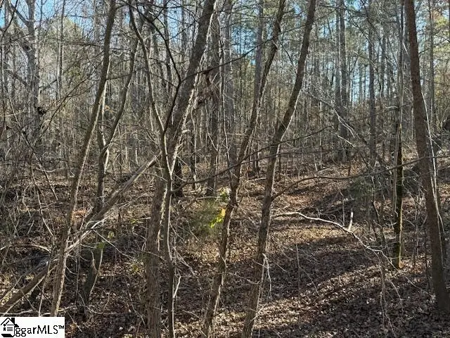 00 Deaton Lane, Gray Court, SC 29645 - Image #2