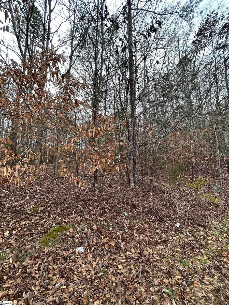 00 Woods Circle, Fountain Inn, SC 29644 - Image #3