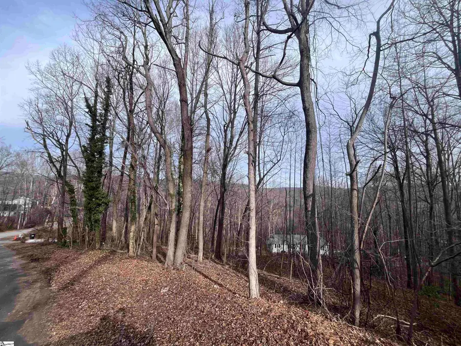 00 Wildflower Lane, Travelers Rest, SC 29690 - Image #2