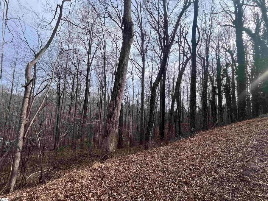 00 Wildflower Lane, Travelers Rest, SC 29690 - Image #3