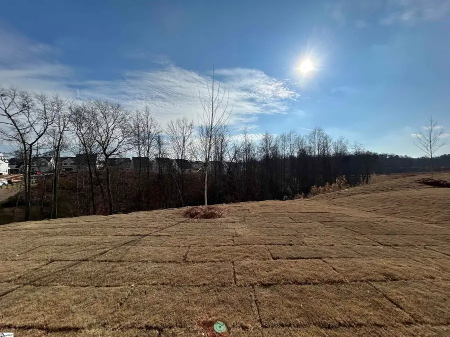 12 Stumphouse Street, Greenville, SC 29607 - Image #3