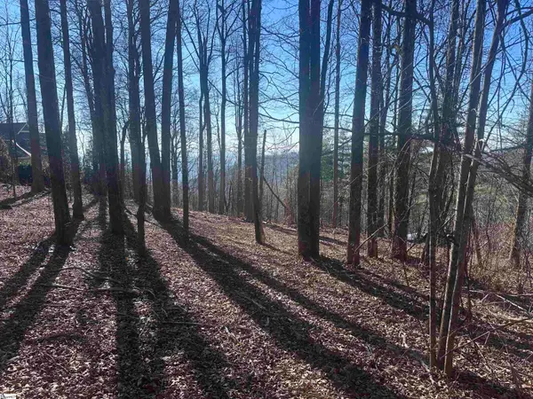 44 Wild Ginger Road, Landrum, SC 29356-3329