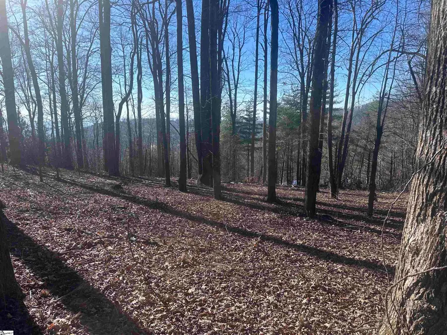 44 Wild Ginger Road, Landrum, SC 29356-3329 - Image #2