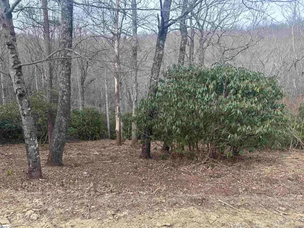 24 Blazing Star Trail, Landrum, SC 29356-3329