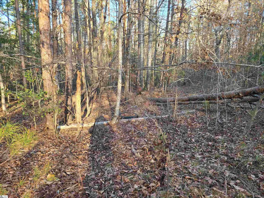 310 Penson Road, Honea Path, SC 29654 - Image #3