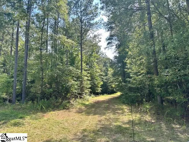 0 S J Workman Highway, Woodruff, SC 29388 - Image #3