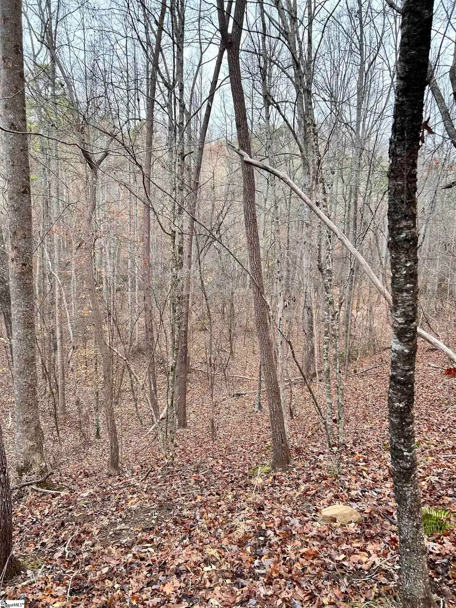 00 Little Crowe Creek Road, Six Mile, SC 29671 - Image #3