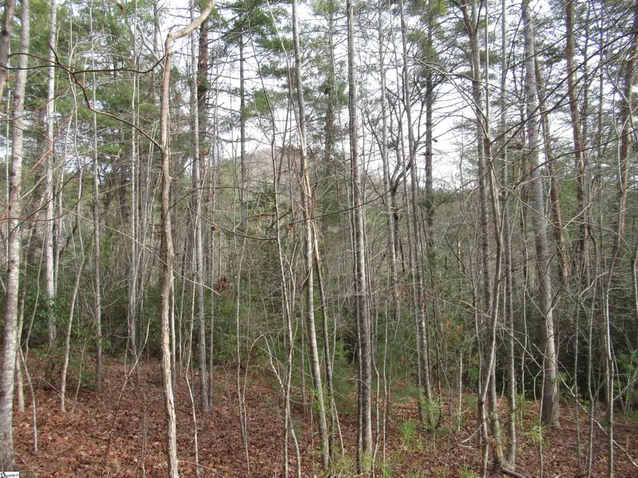 116 Fireside Lane, Pickens, SC 29671 - Image #2