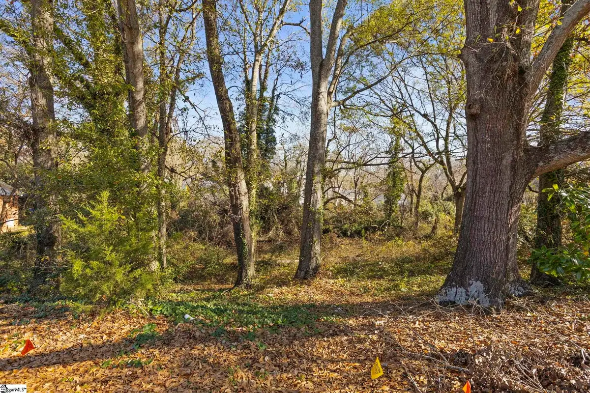 0 Tuskegee Avenue, Greenville, FL 29607 - Image #1