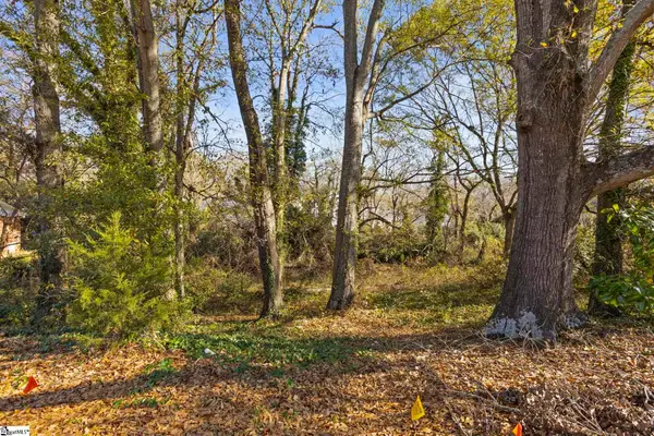 0 Tuskegee Avenue, Greenville, FL 29607