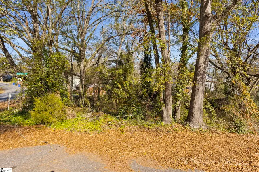 0 Tuskegee Avenue, Greenville, FL 29607 - Image #2