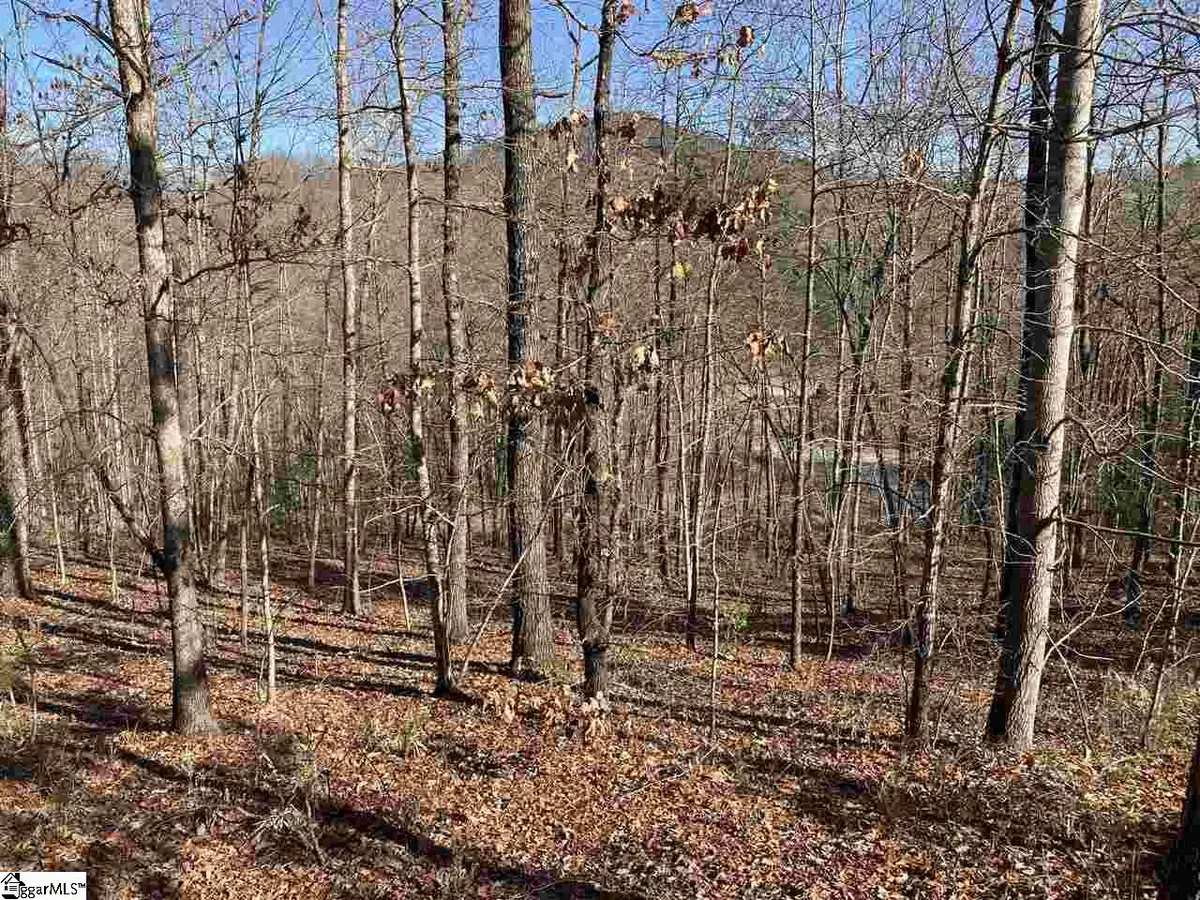 811 Highridge Parkway, Marietta, SC 29661 - Image #1