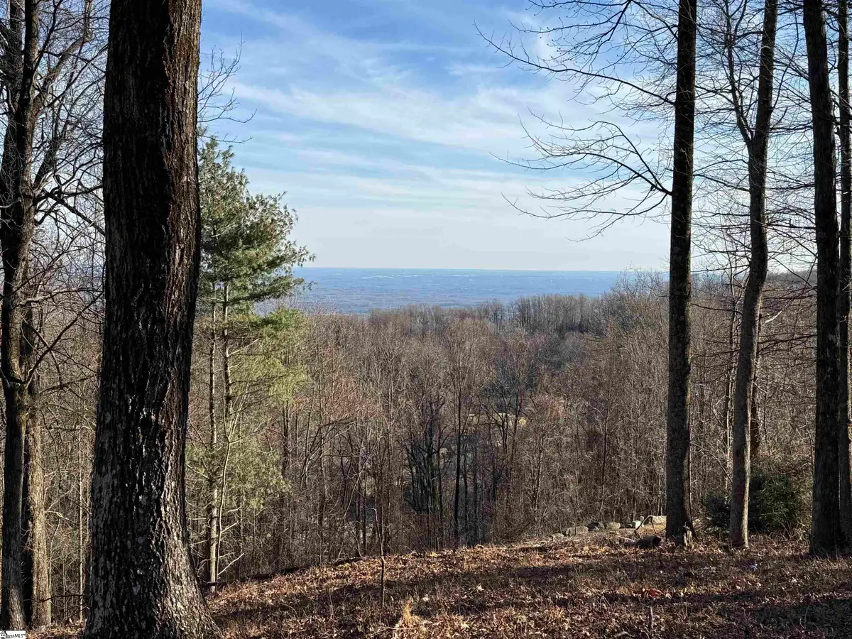 Lot 152 Goldenrod Way, Landrum, SC 29356 - Image #1