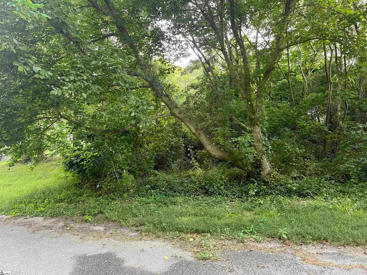 Railroad Street, Spartanburg, SC 29307 - Image #1