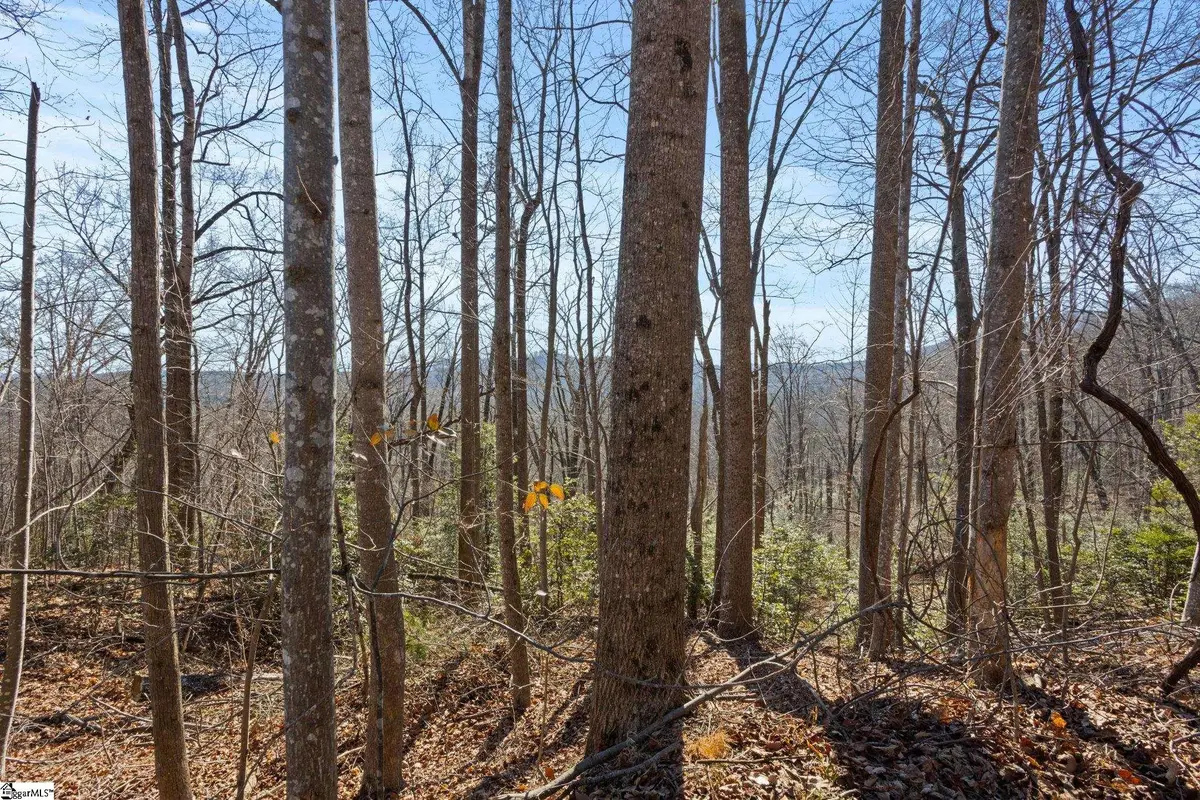 0 Dogwood Drive, Lake Lure, NC 28746 - Image #1