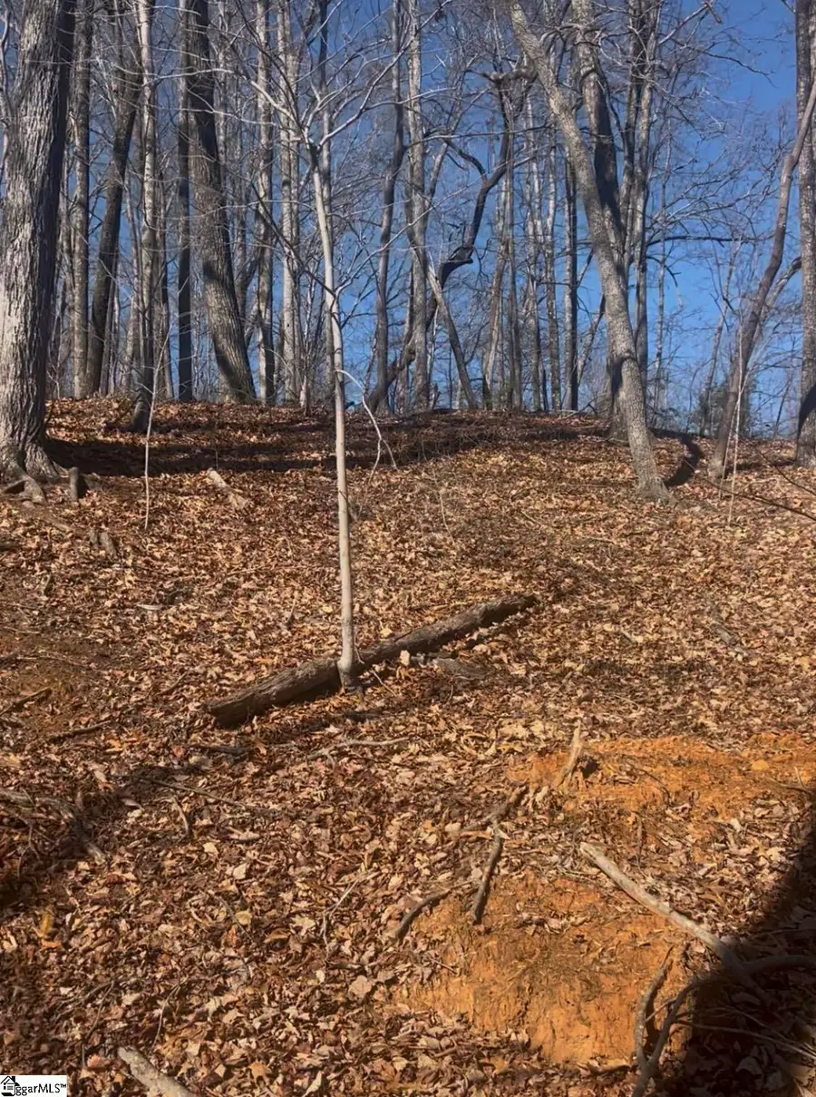 0 Dogwood Drive, Lake Lure, NC 28746 - Image #3