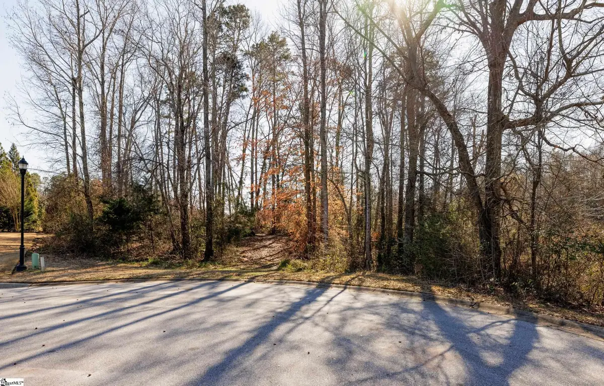 309 Chafford Court, Simpsonville, SC 29681 - #1