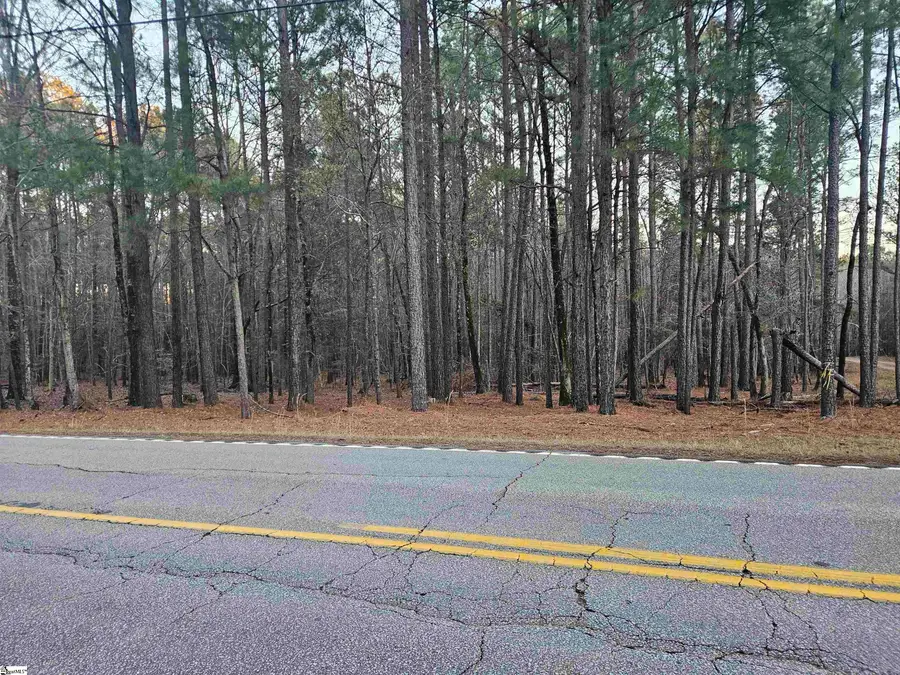 0 Hollands Landing Road, Prosperity, SC 29127 - Image #3