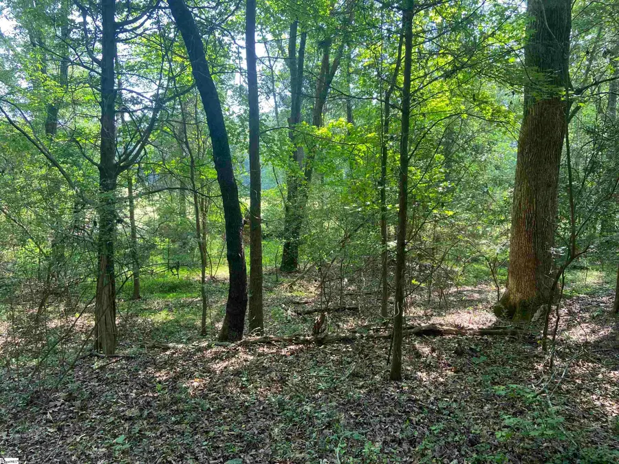 Terry Shop Road, Fountain Inn, SC 29644-9175 - Image #2