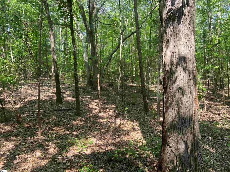 Terry Shop Road, Fountain Inn, SC 29644-9175 - Image #3