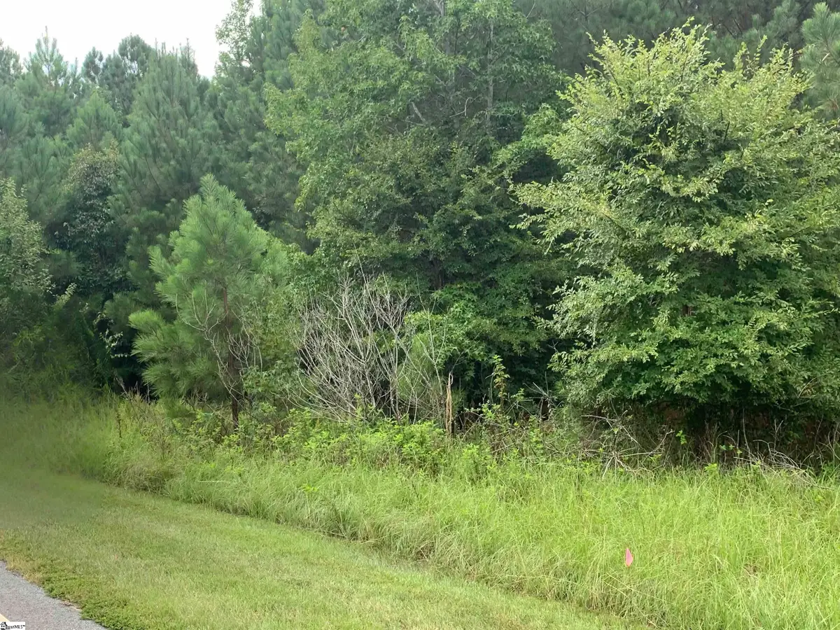 970 Eagles Harbor Drive, Hodges, SC 29653 - #1