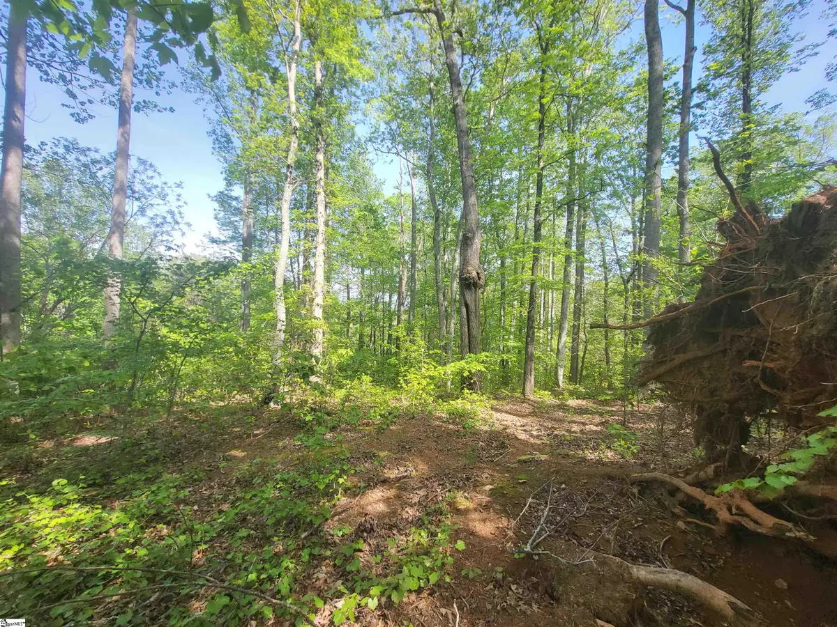 121 Laurel Valley Way, Travelers Rest, SC 29690 - #1