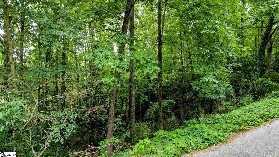 00 Westminster Drive, Pendleton, SC 29670 - Image #2