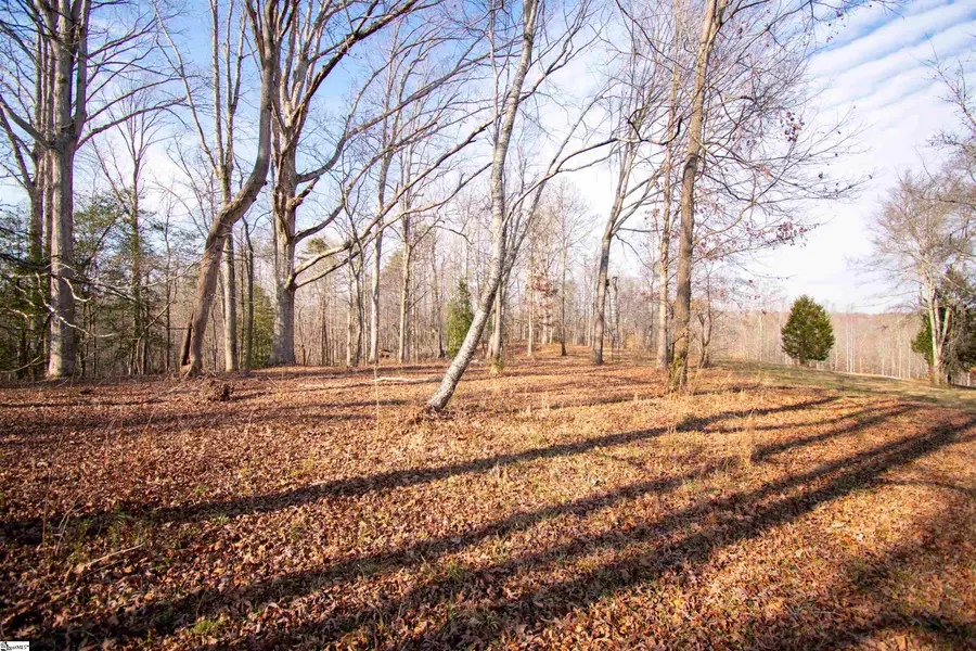 0 Wofford Road, Woodruff, SC 29388 - #2