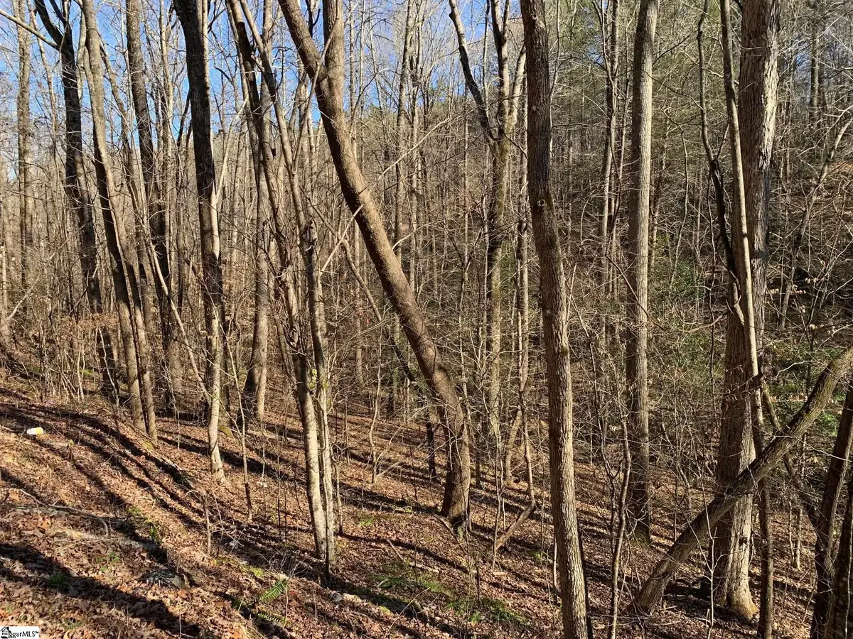 157 Saw Mill Road, Marietta, SC 29661 - #1