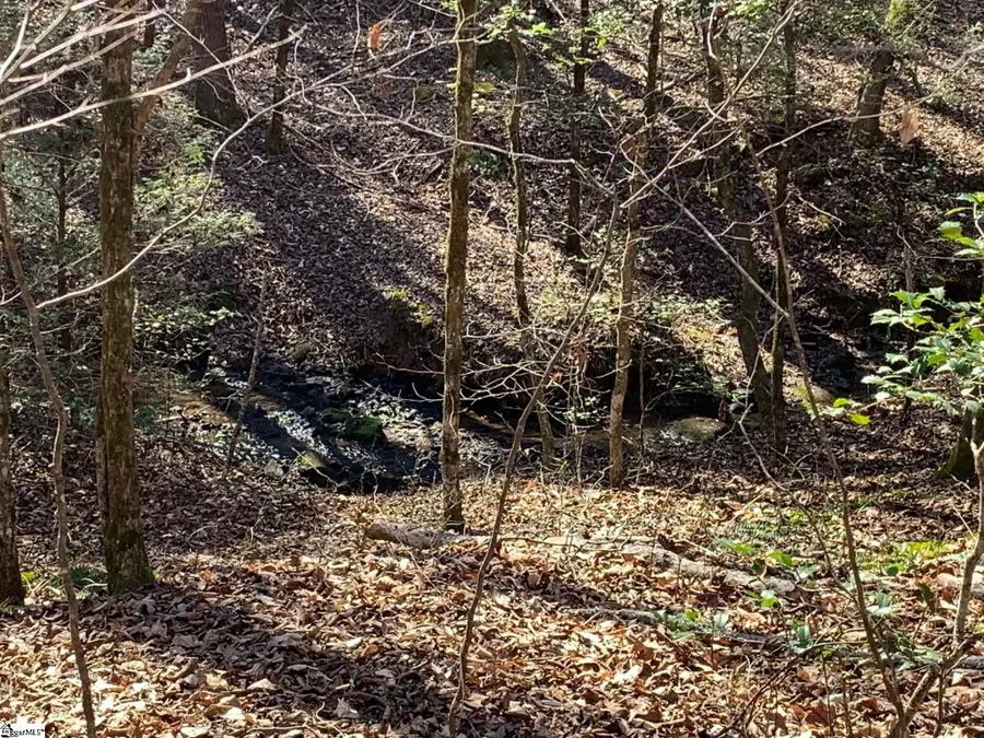 157 Saw Mill Road, Marietta, SC 29661 - #2