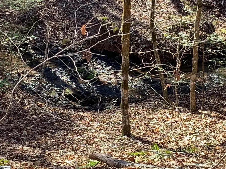 157 Saw Mill Road, Marietta, SC 29661 - #3