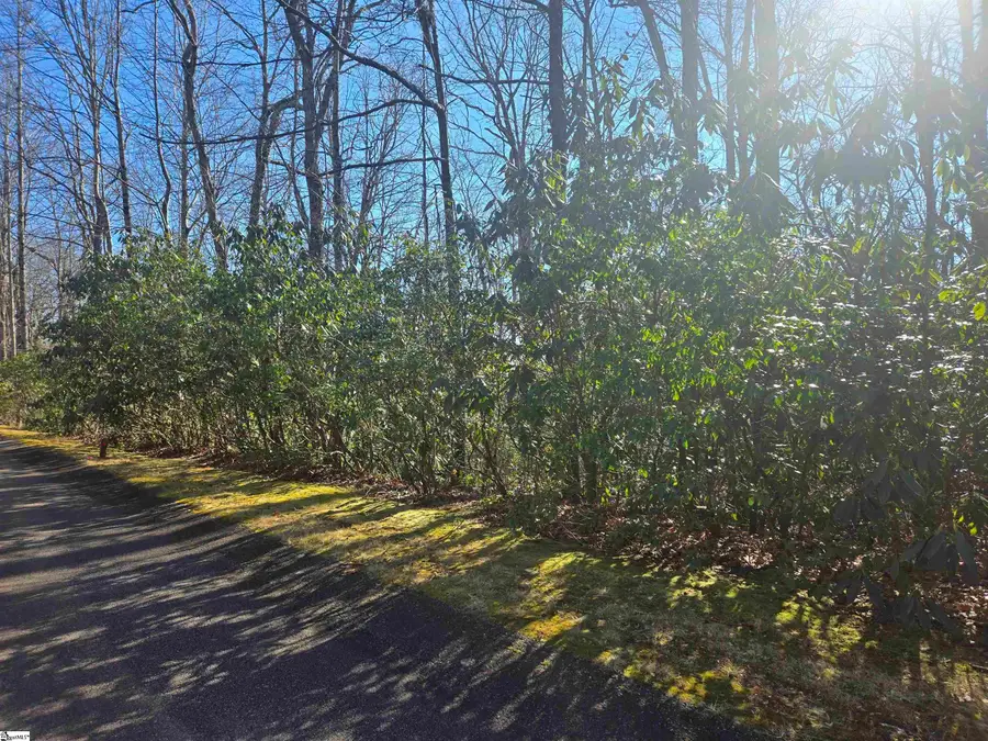 00 Birchbend, Cleveland, SC 29635 - #2