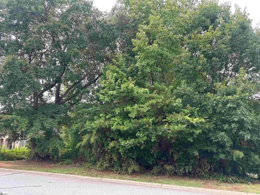 304 Chamblee Boulevard, Greenville, SC 29615 - #3