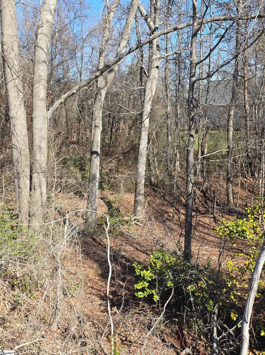 00 Stallings Road, Taylors, SC 29687 - Image #3