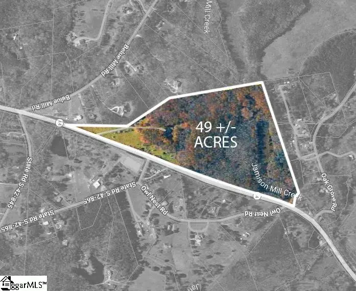 1010 Highway 14 W, Landrum, SC 29356 - #2