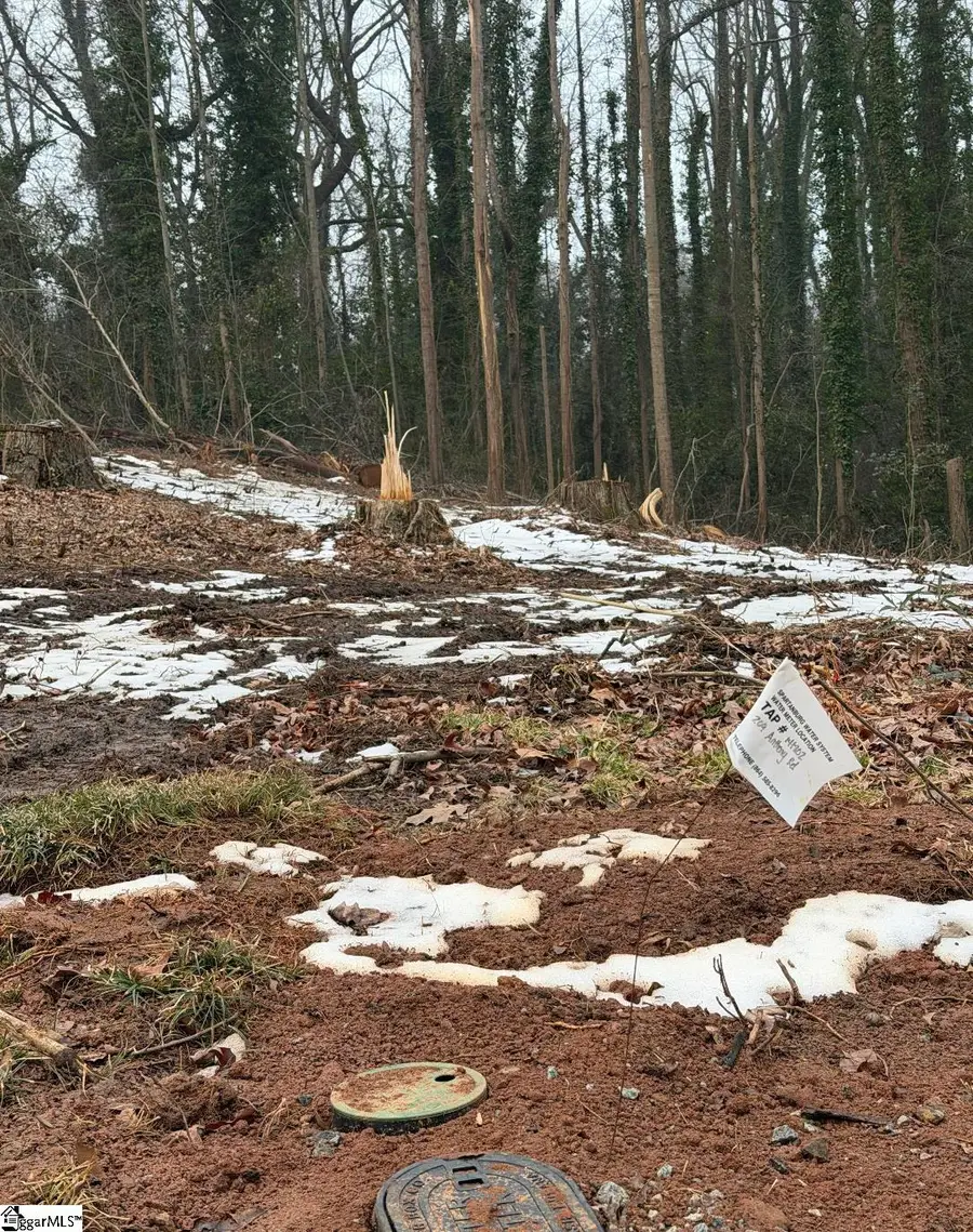 209 Anthony Road, Spartanburg, SC 29301 - #3