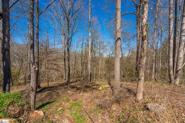 6 Bagwell Place, Spartanburg, SC 29302