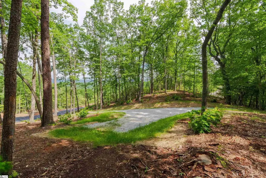 167 Cherokee Rose Trail, Marietta, SC 29661 - #3