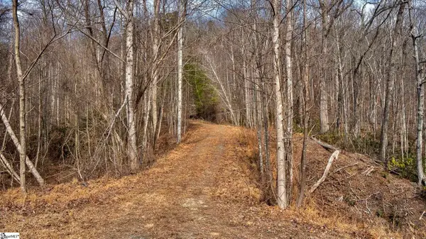 146 Glassy Falls Trail, Travelers Rest, SC 29690