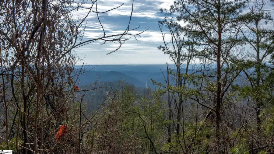 146 Glassy Falls Trail, Travelers Rest, SC 29690 - #2