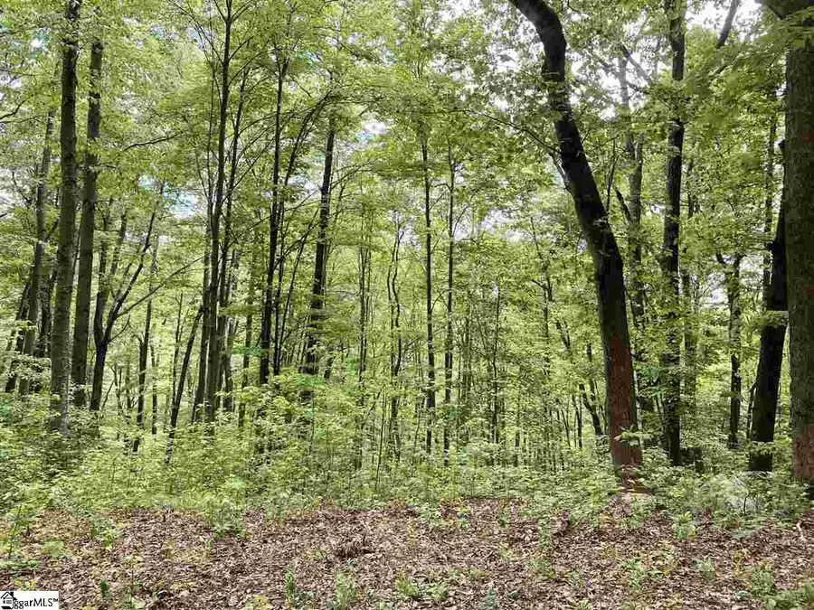 1334 Panther Park Trail, Travelers Rest, SC 29690 - #3