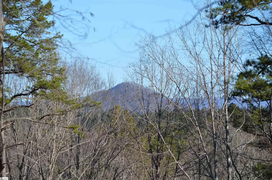 Lakeside Drive, Six Mile, SC 29682 - #3