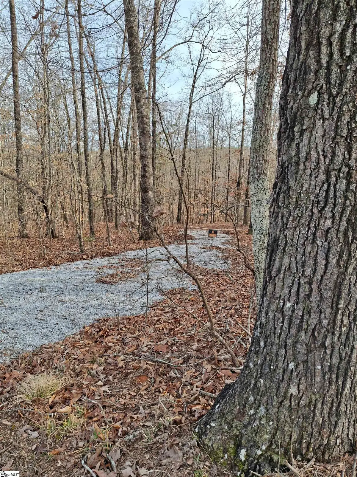 523 Flat Shoals Road, Walhalla, SC 29691 - #1