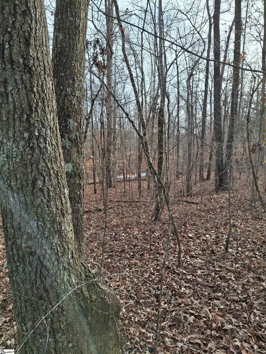 523 Flat Shoals Road, Walhalla, SC 29691 - #3