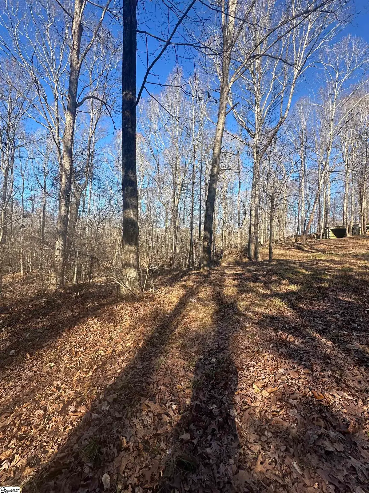 2155 Harris Grove Church Road, Gray Court, SC 29645 - #1