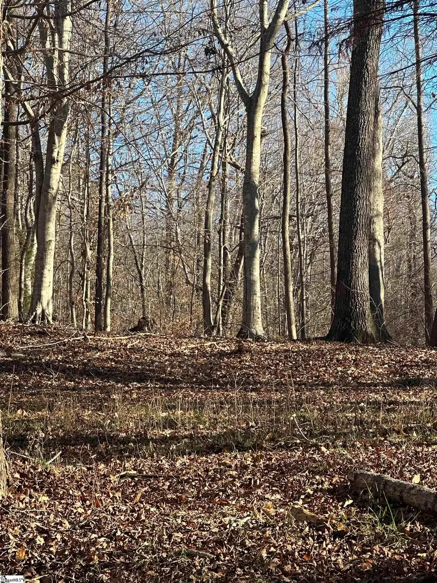 2155 Harris Grove Church Road, Gray Court, SC 29645 - #3