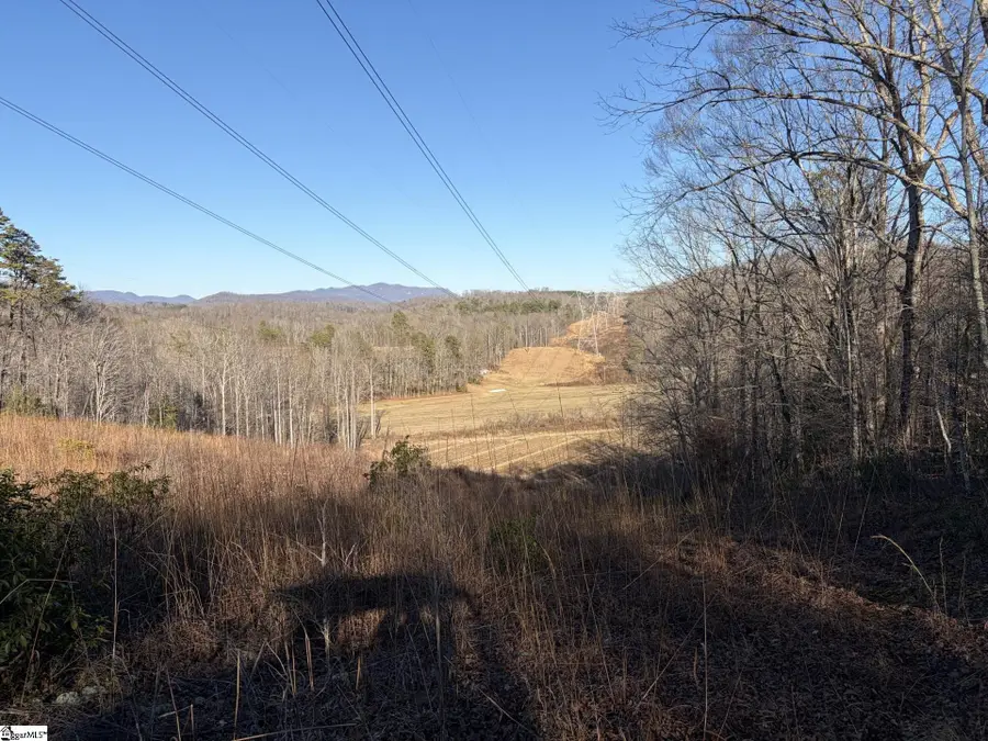 539 Hart Cut Road, Marietta, SC 29661 - #2